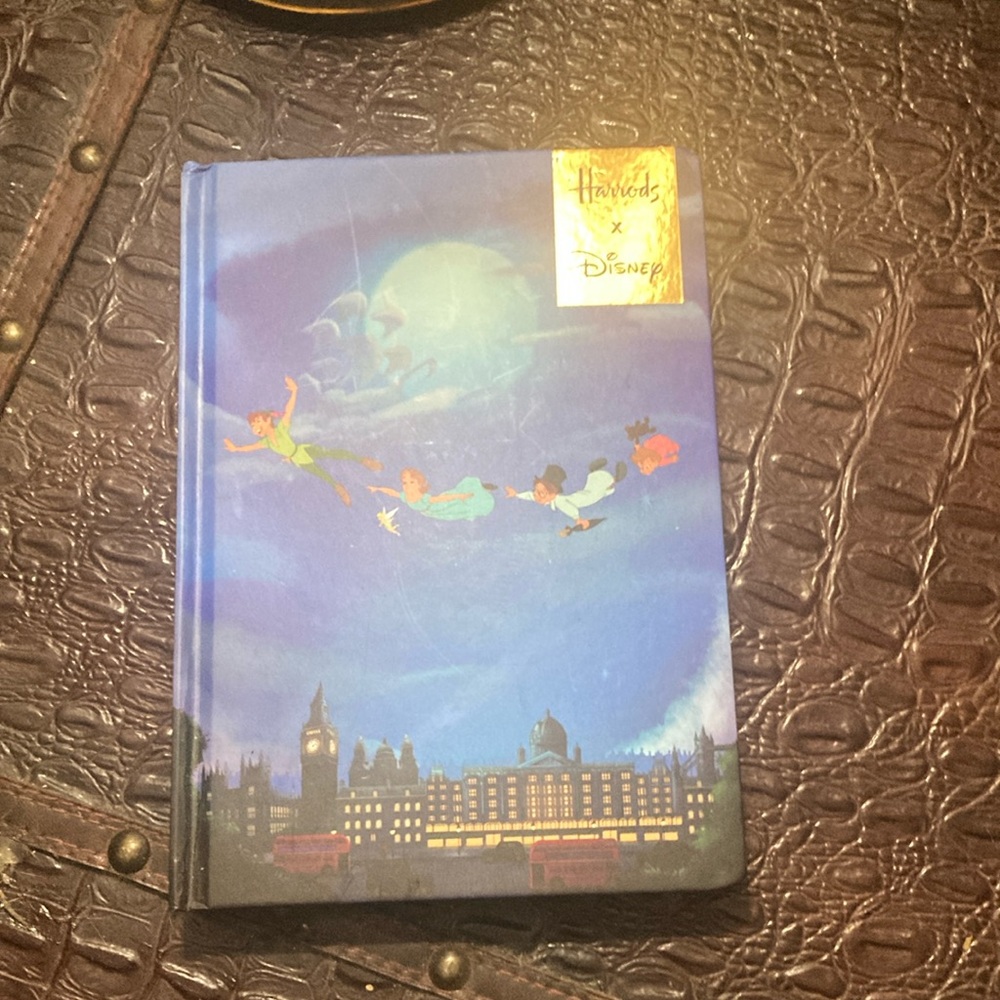 Disney Blue and Gold Office Journal